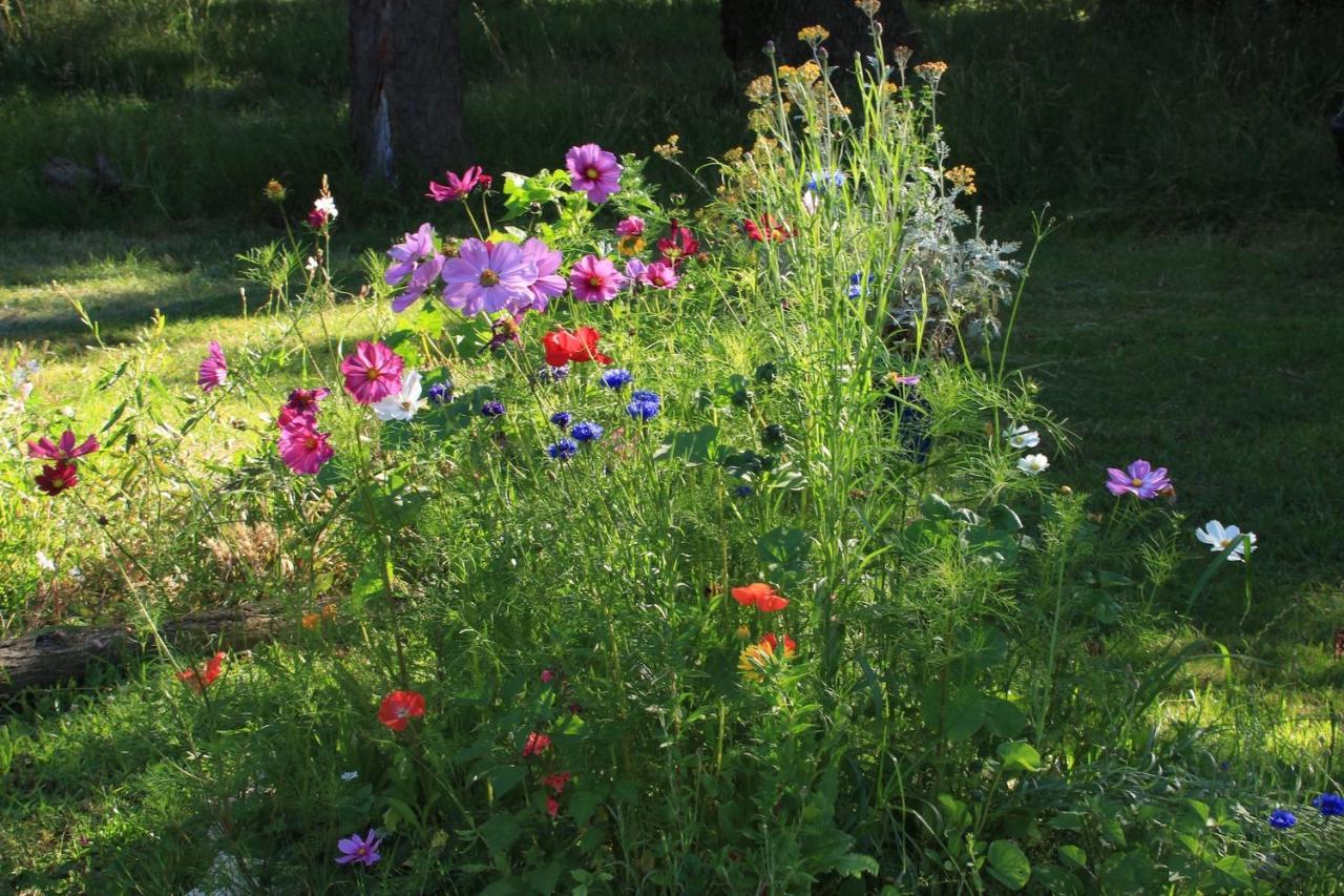 Bed and Breakfast Souslens, Castaignos-Souslens 40 Zewnętrze zdjęcie