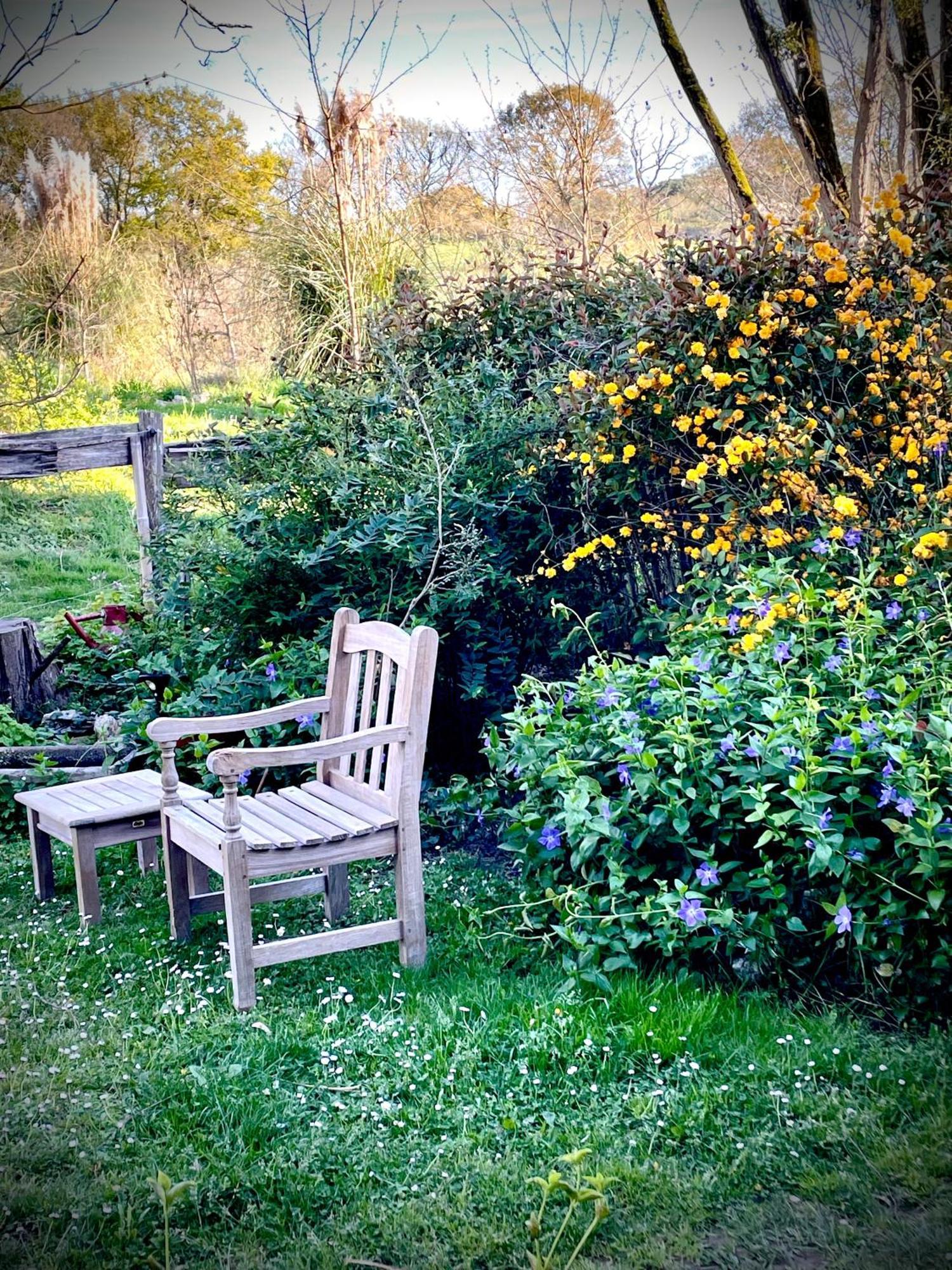 Bed and Breakfast Souslens, Castaignos-Souslens 40 Zewnętrze zdjęcie